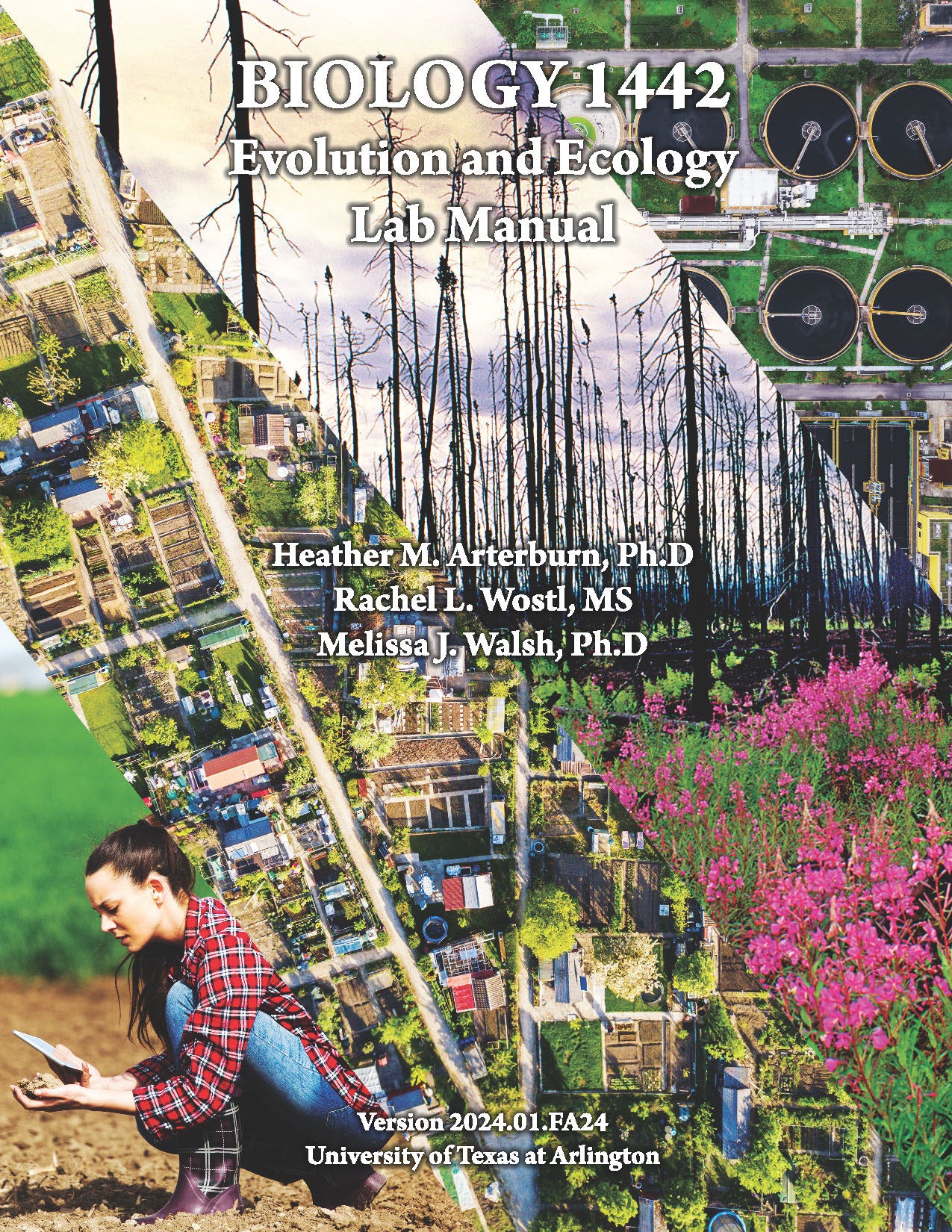 語学+参考書 Avian Immunology (Advances in Experimental Medicine and Biology) (Advances in Experimental Medicine and Biology 88) 13513.jpg